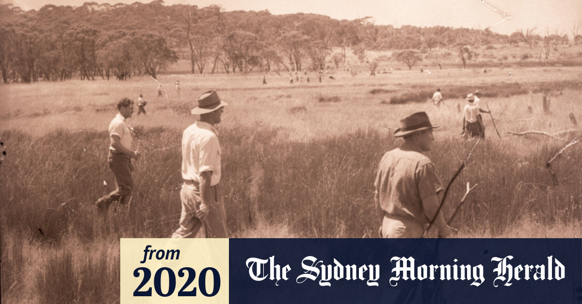 Little boys lost The bush takes away and sometimes it gives back